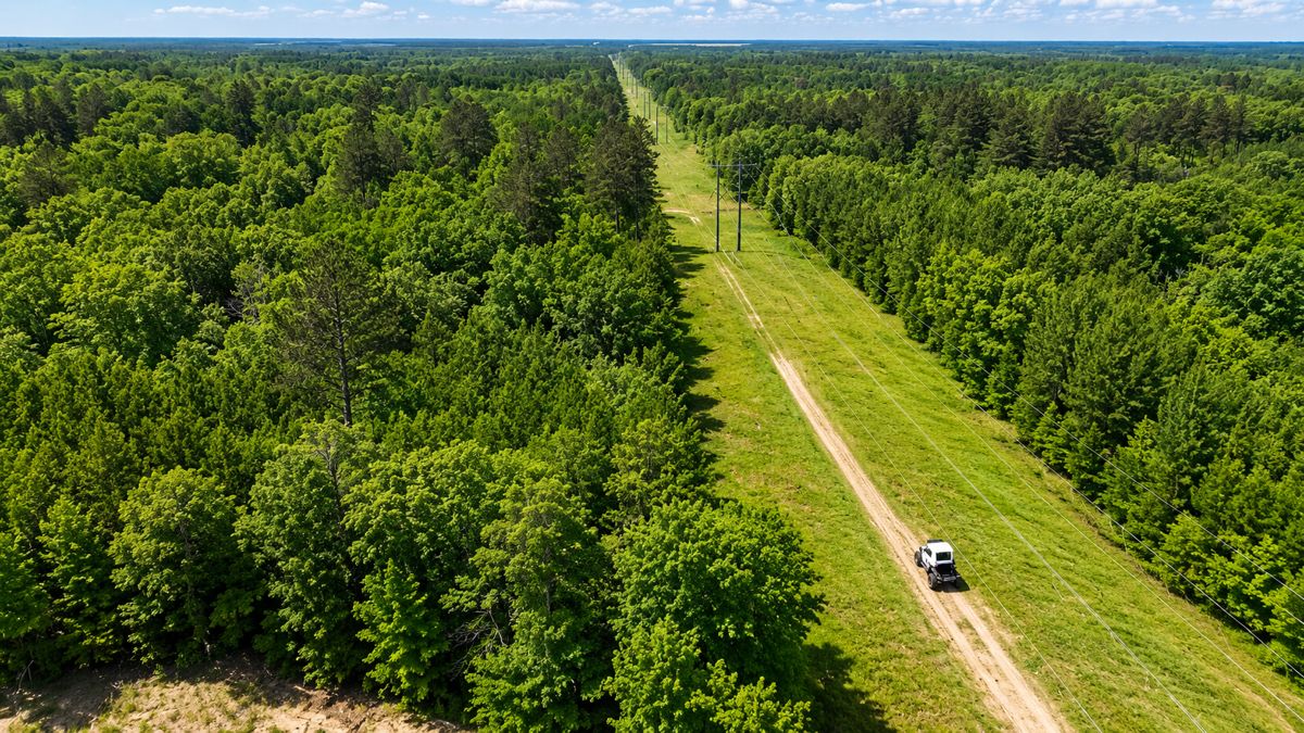 Aerial view of a Swamp Rider on a forested utility right-of-way corridor