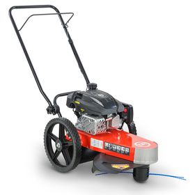 Niko☆８様ご検討用　クリロ　開花株　ライム　セミダブル　スポット　充実株 Rent the STUMP GRINDER | Freedom Equipment Rentals