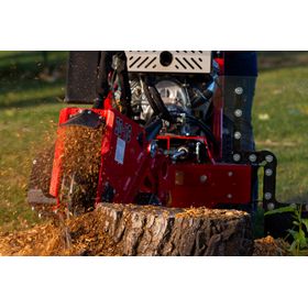 Baretto 30SGB Stump Grinder
