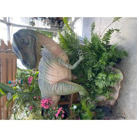 Dinosaur